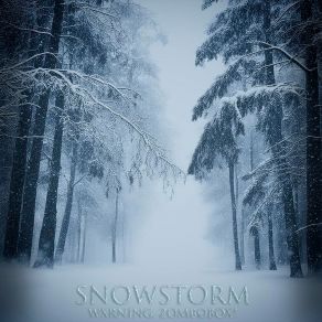 Download track Snowstorm ZomboBox!