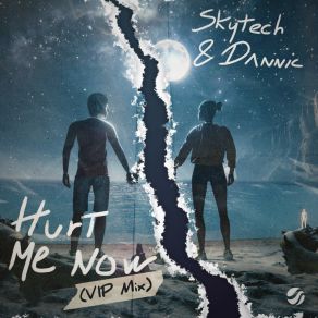 Download track Hurt Me Now (VIP Mix) Dannic