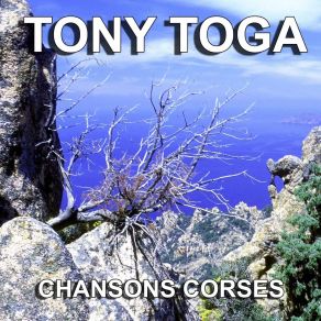 Download track Cuandu Sero Per Corti Tony Toga