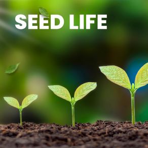 Download track Growing Seeds Life Begins Here