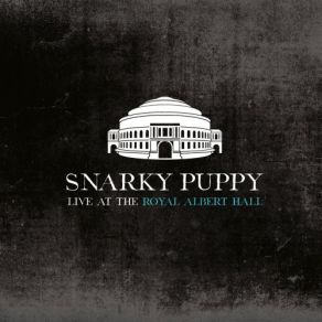 Download track Intelligent Design (Live) Snarky Puppy