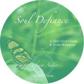 Download track Don't Ever Change Soul Defiance