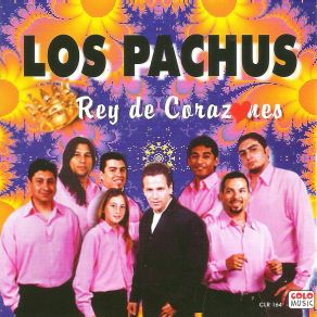 Download track Hay Cariño Los Pachus