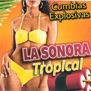 Download track Soy Soltero La Sonora Tropical