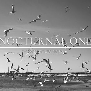 Download track The Beginning Nocturnal One