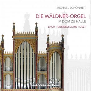 Download track Fantasie In C Minor, BWV 537 Michael Schönheit