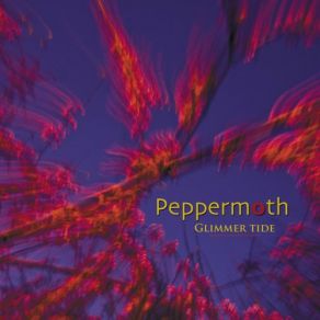 Download track Cloud Cover Peppermoth