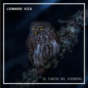 Download track Espíritu Animal Leonardo Vica