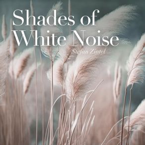 Download track Shades Of White Stefan Zintel