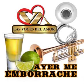 Download track El Dia Que Sali De Casa Las Voces Del Amor