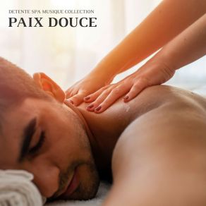 Download track Musique Instrumentale De Spa Detente Spa Musique Collection