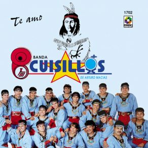 Download track La Despeinada Cuisillos De Arturo Macias