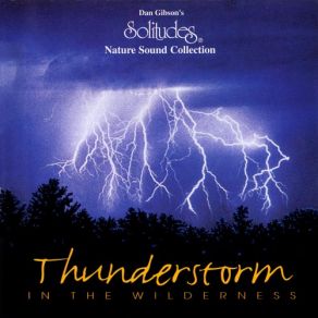 Download track Thuderstorm In The Wilderness Dan Gibson