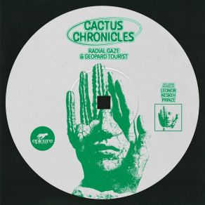 Download track Cactus Chronicles (Neskeh Remix) Geopard TouristNeskeh