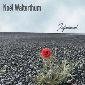 Download track T'as Mal Noel Walterthum