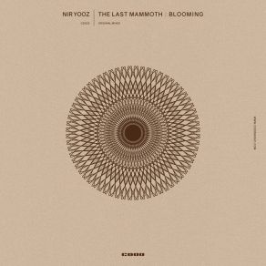 Download track The Last Mammoth (Original Mix) Nir Yooz