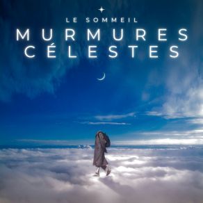 Download track Brise De Nuit Le Sommeil