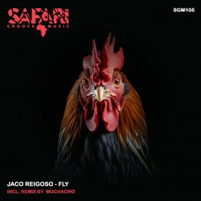 Download track Fly (Muchacho Remix) Jaco ReigosaMuchacho