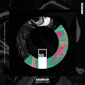 Download track Subtropical Groove (Original Mix) Kevin KR