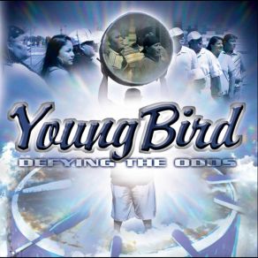 Download track Sing'n Loud & Sing'n Proud Young Bird