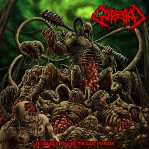 Download track Abyss Of The Wretched Gorebag