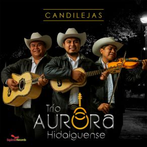 Download track El Toro Huasteco Trio Aurora Hidalguense