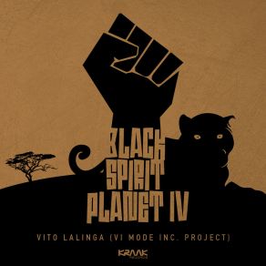 Download track Spiritual Space Vito Lalinga (VI Mode Inc. Project)