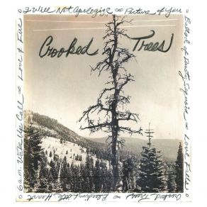 Download track The Ballad Of Dusty Sequoia Crooked Trees