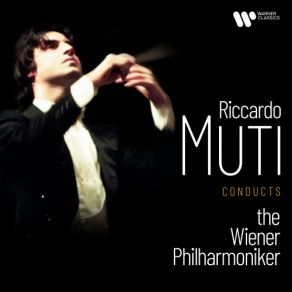 Download track Symphony No. 5 In B-Flat Major, D. 485: III. Menuetto. Allegro Molto - Trio Riccardo Muti, Wiener Philarmoniker