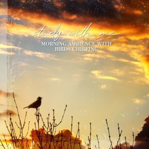 Download track Morning Ambience With Birds Chirping, Pt. 18 Sebastian Riegl