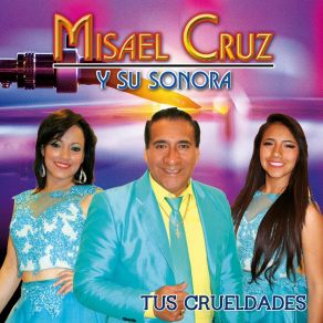 Download track No Puedo Acostumbrarme Misael Cruz