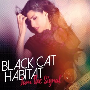 Download track The Big Mistake Black Cat Habitat