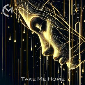 Download track Take Me Home (Breakbeat Mix) Nik Beal