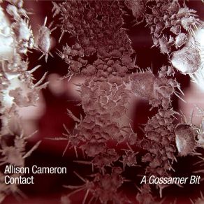 Download track Gossamer Bit (Ives Hymn) Contact, Allison Cameron