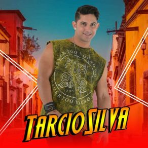 Download track Novinha Disfarçada Tårcio SilvaFuracão Love