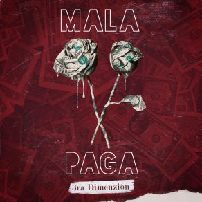 Download track Mala Paga 3ra Dimenzion