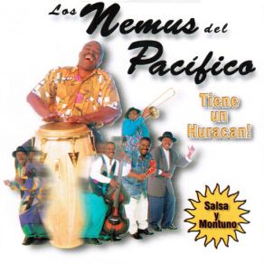 Download track Sembrando Caminos Los Nemus Del Pacifico