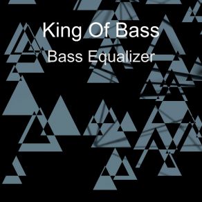 Download track Race The Night King Of Bass