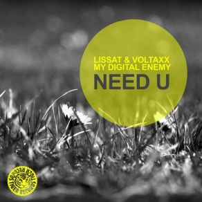 Download track Need U (Original Mix) Voltaxx, Lissat, My Digital Enemy