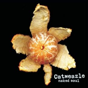 Download track Let Us Fly Catweazle