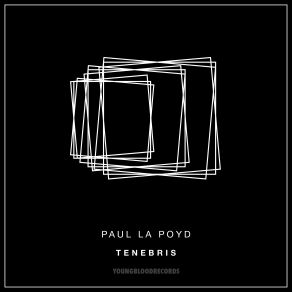 Download track No Story Paul La Poyd