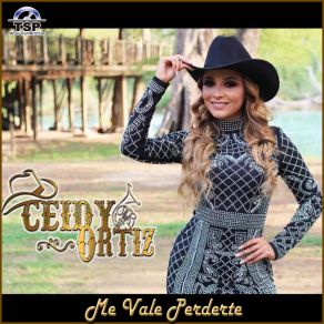 Download track Me Vale Perderte Ceidy Ortiz