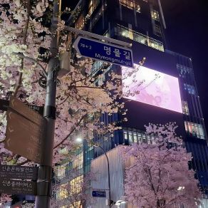 Download track Lowkey Tokyo (Slowed & Reverb) Ref1xeDReverb, Slowed