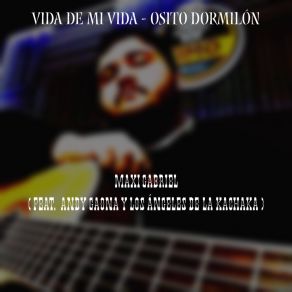 Download track Osito Dormilón Los Ángeles De La Kachaka