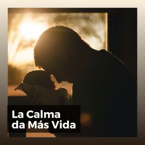 Download track Calma Del Alma Ruido Del Sueno