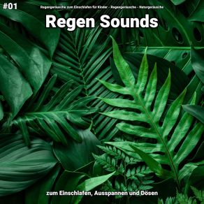 Download track Regen Sounds, Pt. 48 Naturgeräusche