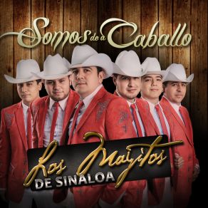 Download track Quiero Que Tu Me Quieras Los Mayitos De Sinaloa