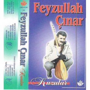 Download track Gönlüm Yastadır Feyzullah Çınar