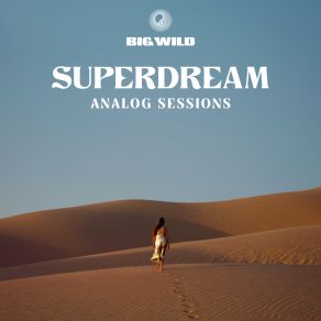 Download track City Of Sound (Analog Sessions) Big Wild