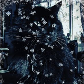 Download track Meowy Christmas Music For Cats